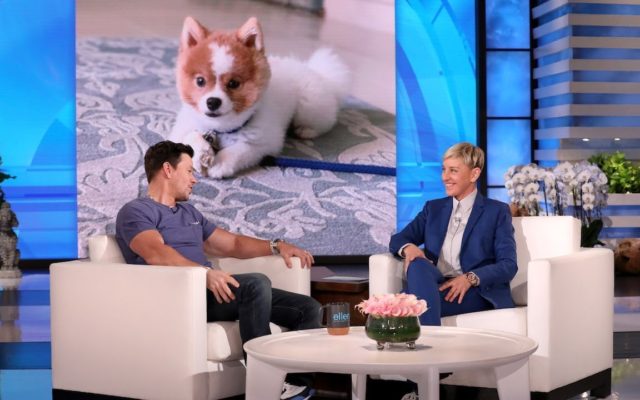 Did Kim and Kanye Bring Mark Wahlberg A Dog?