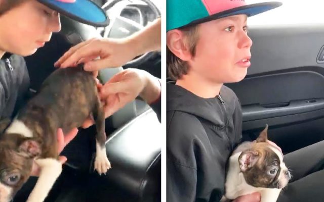 Boy Gets A Dog From His Late Father