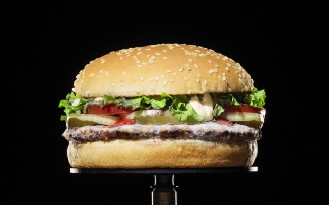 Burger King Introduces “The Moldy Whopper” AKA No Artificial Preservatives