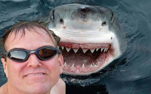Study: More People Die Taking Selfies than in Shark Attacks