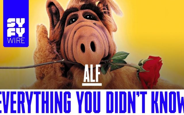 This Guy Needs $10,000 To Build An ALF Statue In Connecticut