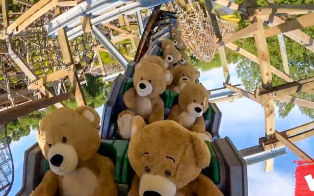 Stuffed Animals Are Riding Roller Coasters In San Diego