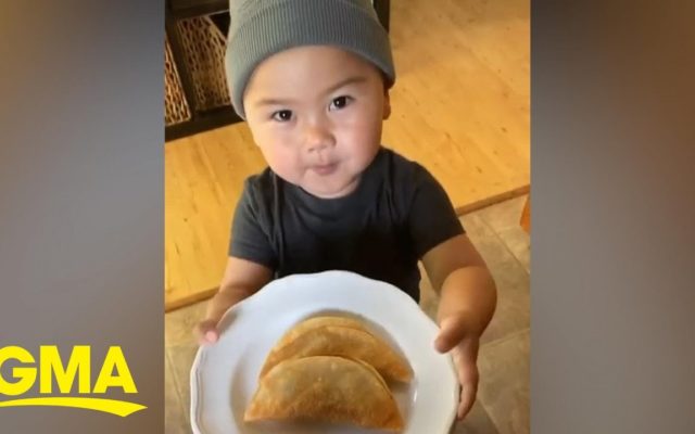 Meet The Most Polite Toddler EVER