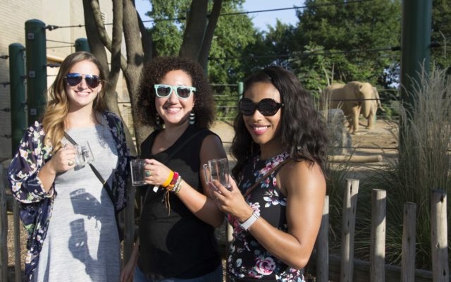 Brew At The Zoo… Cancelled for 2020