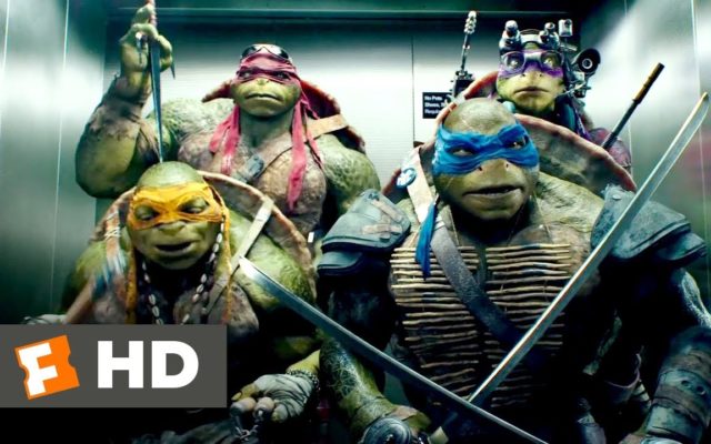 Seth Rogen Plans New ‘Teenage Mutant Ninja Turtles’ CG Movie