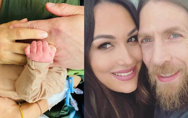 WWE Stars, The Bella Twins, Welcome Babies Just One Day Apart from One Another