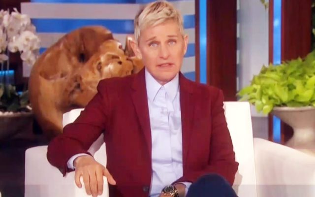 Ellen Degeneres Reportedly Wants Out Of Her Show