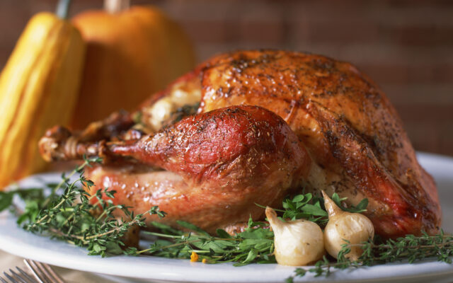Hot Turkey Tips This Thanksgiving