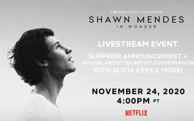 Shawn Mendes “Live in Concert” on Netflix as a Surprise to Fans