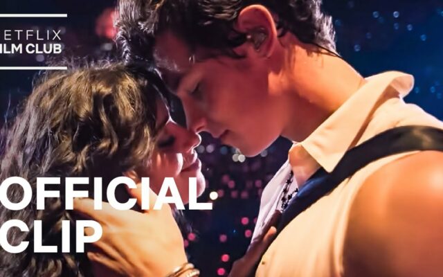 Camila Cabello Shares What She Learned About Love From Shawn Mendes In Personal Post