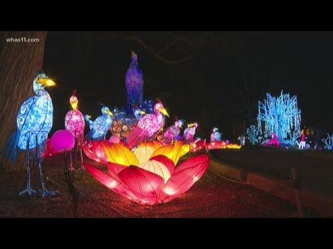 ‘Wild Lights’ Lantern Festival Returning to Louisville Zoo