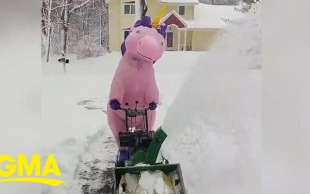 You Need To See A Unicorn Clearing Snow Today