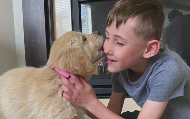 A Dog With A Missing Paw Finds A Home With A Boy Who Lost His Leg