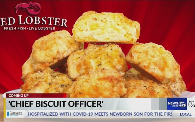 Red Lobster Is Looking For A Chief Biscuit Officer….And Yes That Includes FREE Cheddar Bay Biscuits
