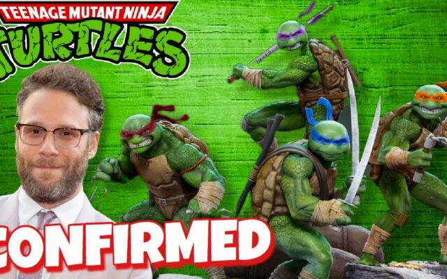 Seth Rogen Rebooting Teenage Mutant Ninja Turtles