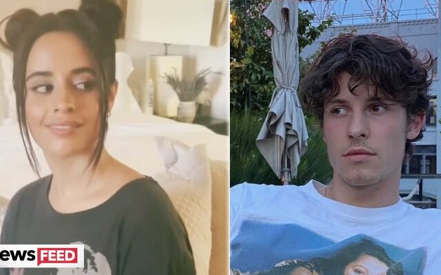 Shawn Mendes Hilariously Trolls Camila Cabello Over Farts