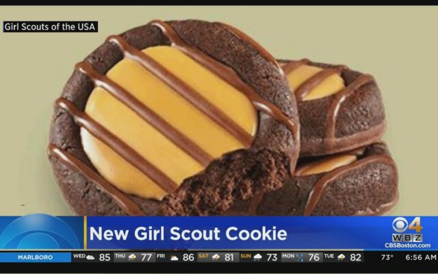Check Out The Latest Girl Scout Cookie Flavor – Adventurefuls