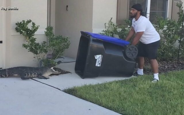 This Army Vet Catches A Gator With A Trash Can