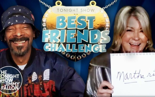 Martha Stewart And Snoop Dogg Teaming Up For A Halloween Special