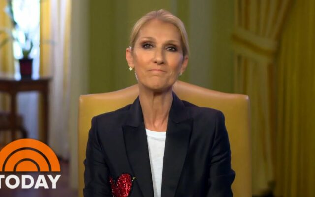 Celine Dion Documentary Coming Soon