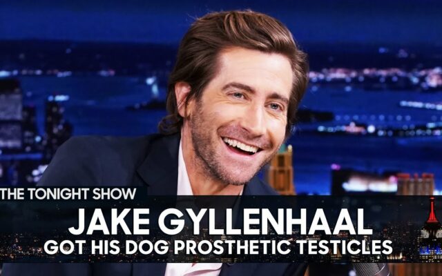 Jake Gyllenhaal Got His Dog Neuticles