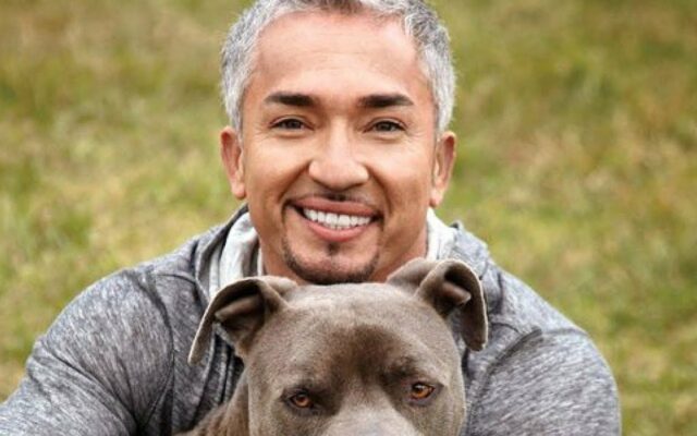 The “Dog Whisperer’s” Is Getting Sued For His Own Dog’s Violent Incidents