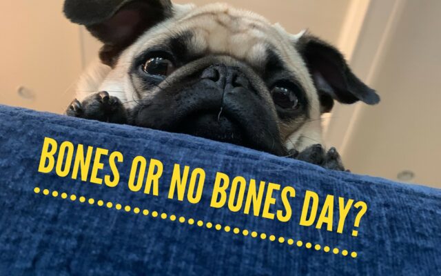 Bones Or No Bones Day?