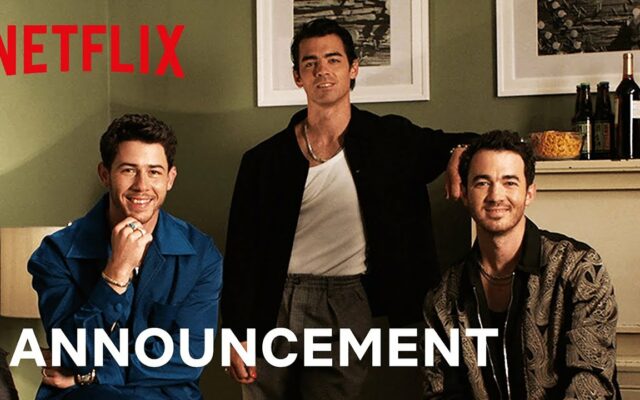The Jonas Brothers Are Getting Roasted On Netflix