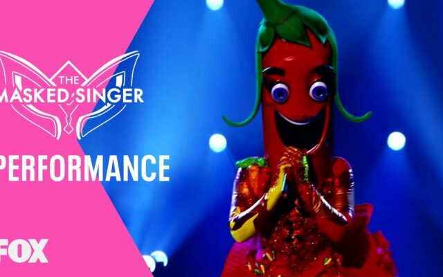 This “Masked Singer” Made Everyone Cry