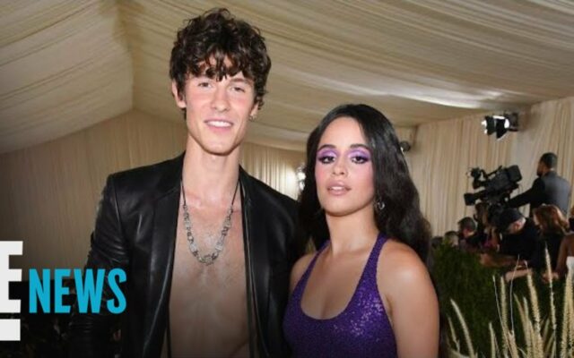 Shawn Mendes And Camila Cabello Return To Social Media After Their Breakup Announcement