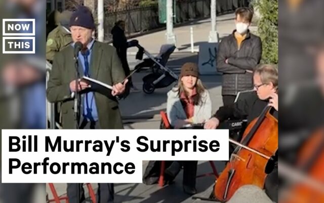 Bill Murray Performed An Impromptu Concert In An NYC Park