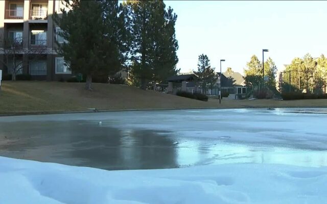 Woman Saves Kids Frozen Pond
