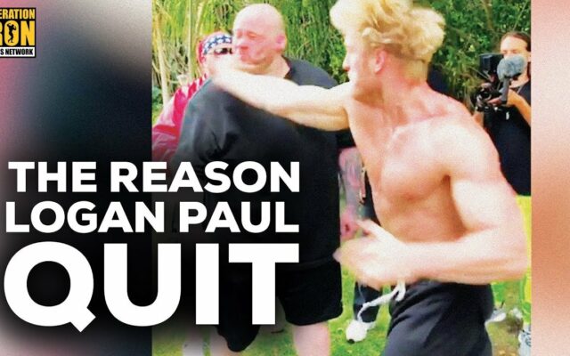 Arnold Schwarzenegger And Logan Paul Are Teaming Up For Show Where Dudes Slap Each Other