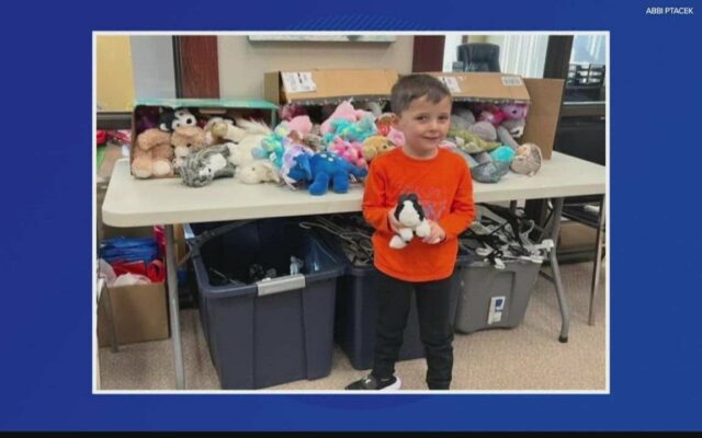 5-Year-Old Indiana Boy Collects Stuffed Animals For Kids Who Need One