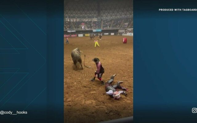 Bull Rider Saved By Dad