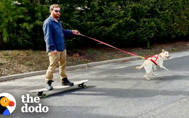 Dog Pulls Her Human On A Skateboard