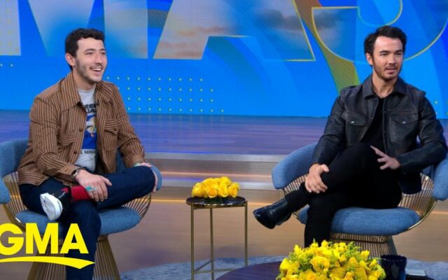 Kevin and Frankie Jonas Have A New Reality Show