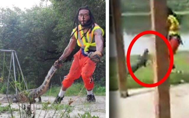This Guy Relocated A Gator Away From A Playground Like A BOSS