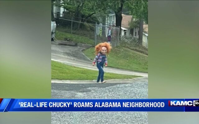 Feel Good Or Setting The Bar? Real Life “Chucky” In Alabama