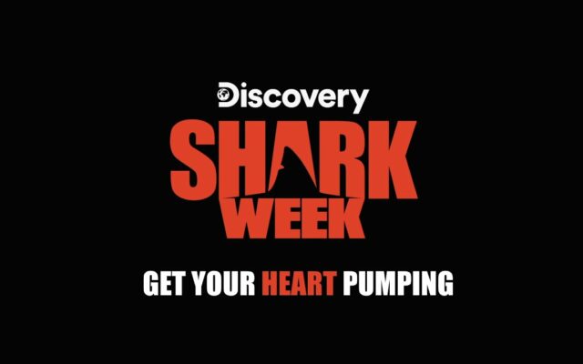 American Red Cross Offering Chance At ‘Shark Week’ Merch For Donors