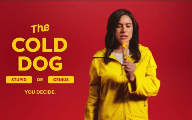 Oscar Mayer Wants To Know If Their “Cold Dog” Is Stupid Or Genius