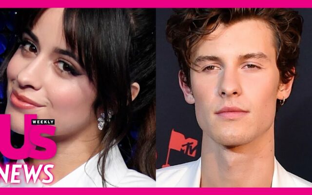 Camila Cabello Gets Awkward When A Shawn Mendes Song Is Performed On “The Voice”