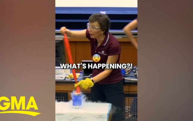 This Professor Gets Everyone Jazzed About Physics With Her Big Energy