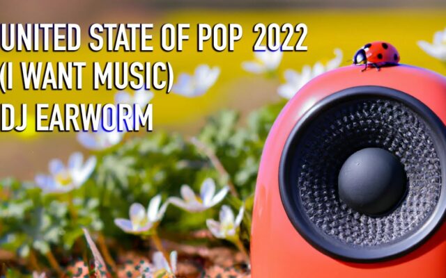 DJ Earworm “United State of Pop 2022” (I Want Music)