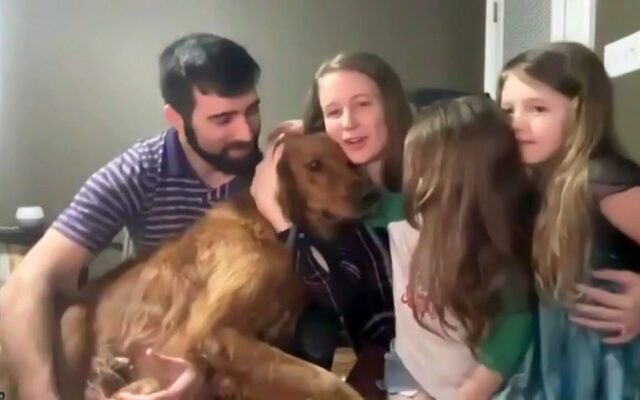 Family Dog Protects His Little Humans While Lost In The Woods