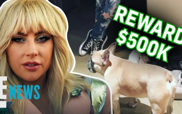 One Of The People Involved In Stealing Lady Gaga’s Dogs Is Now Suing Her For Reward Money